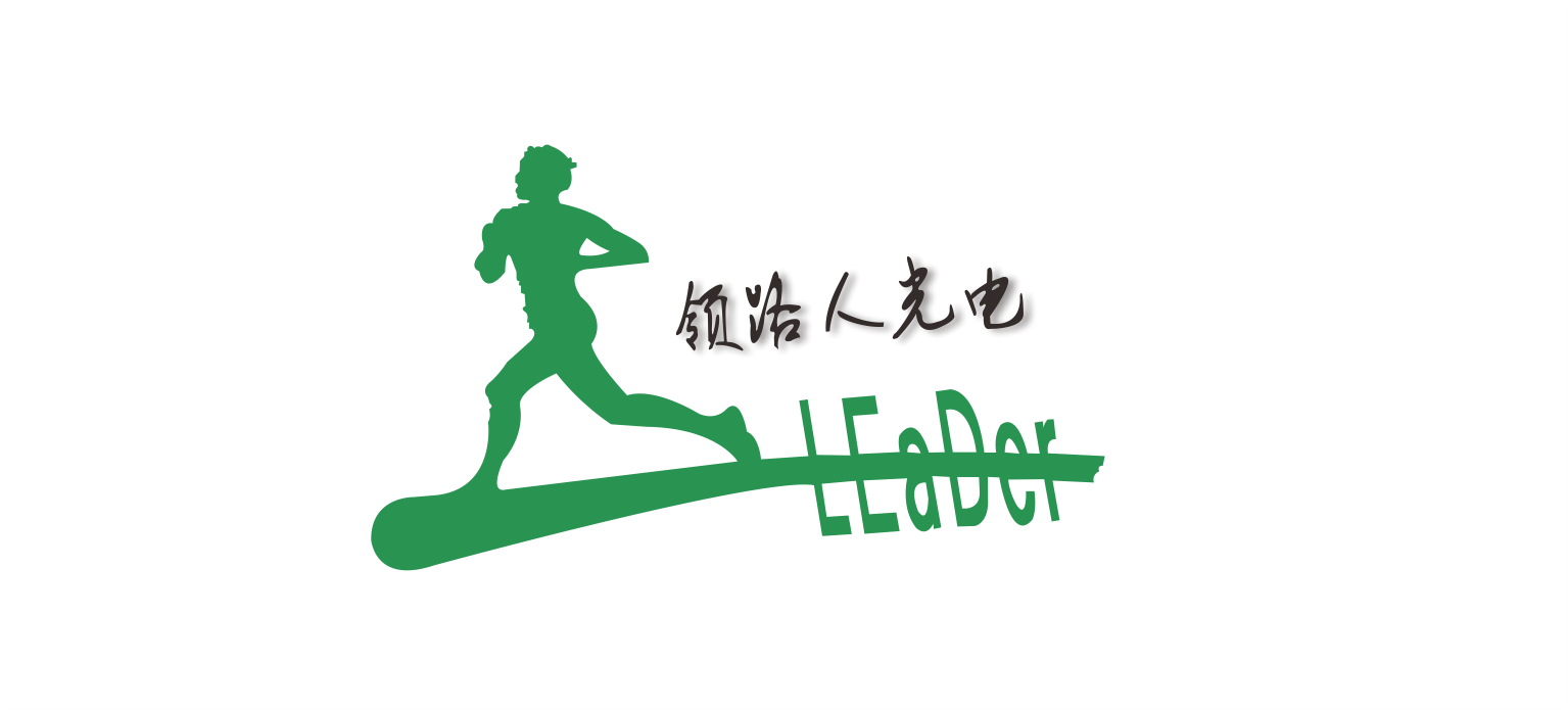领路人